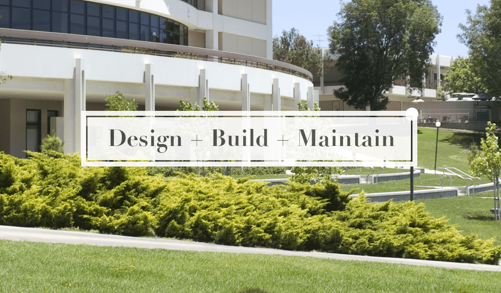 Design + Build + Maintain