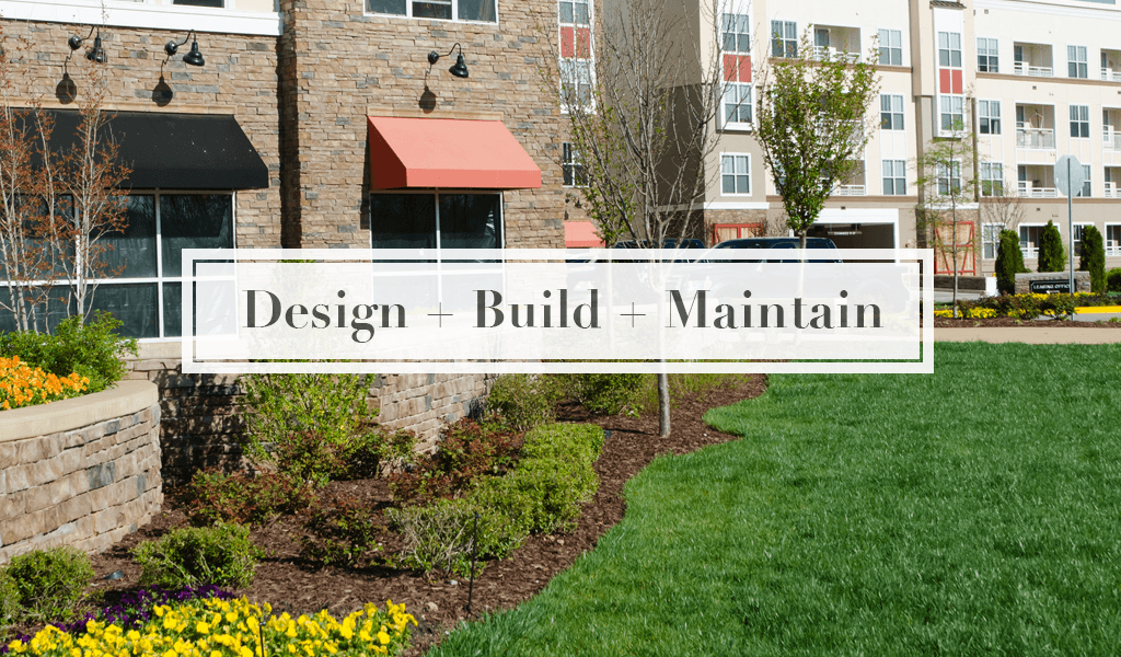 Design + Build + Maintain